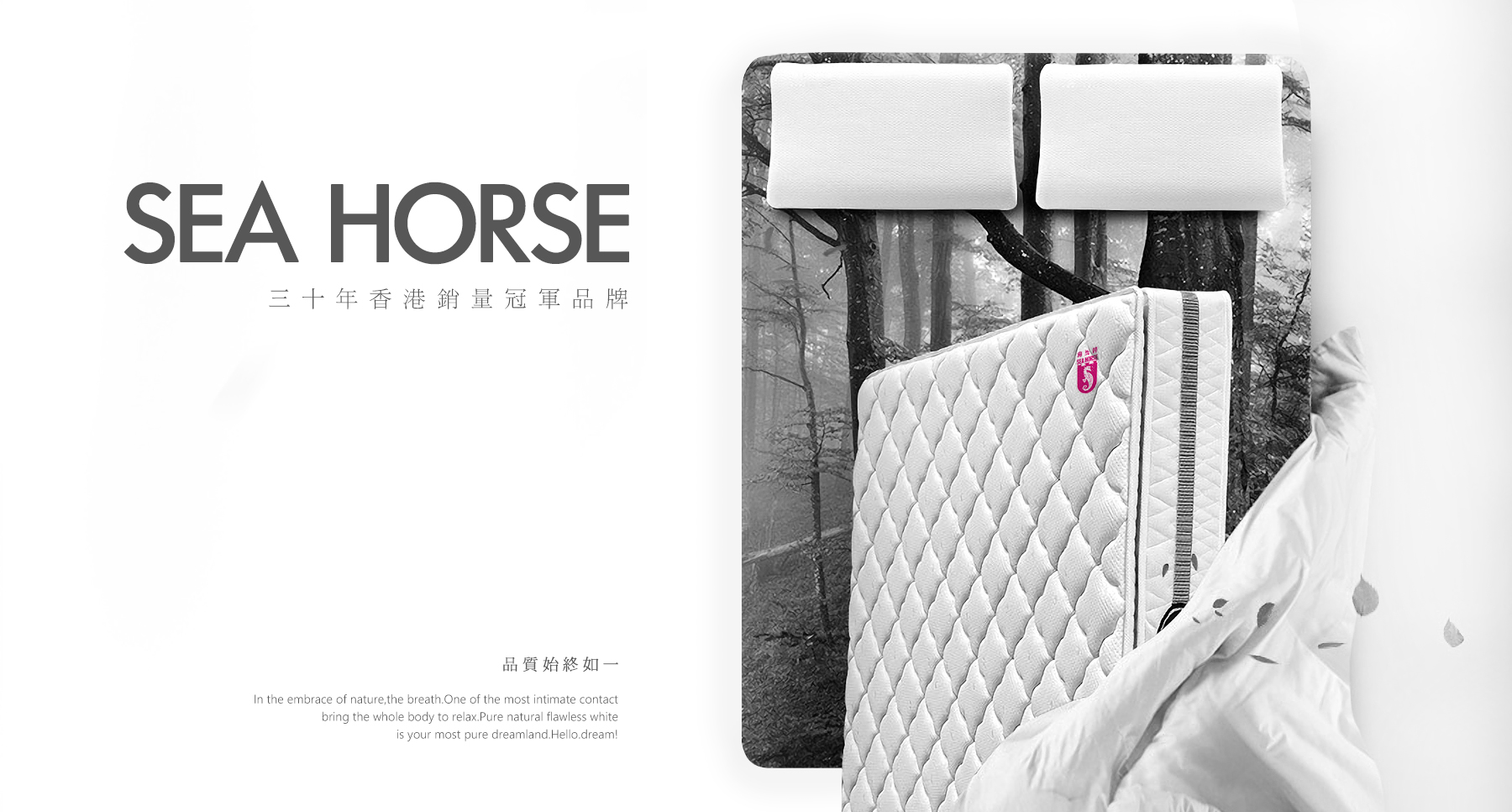 1574869524125089.jpg SEAHORSE-01.jpg